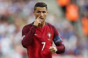 国际巨星樊振东完胜，多特蒙德教练求合影，樊振东对德国选手